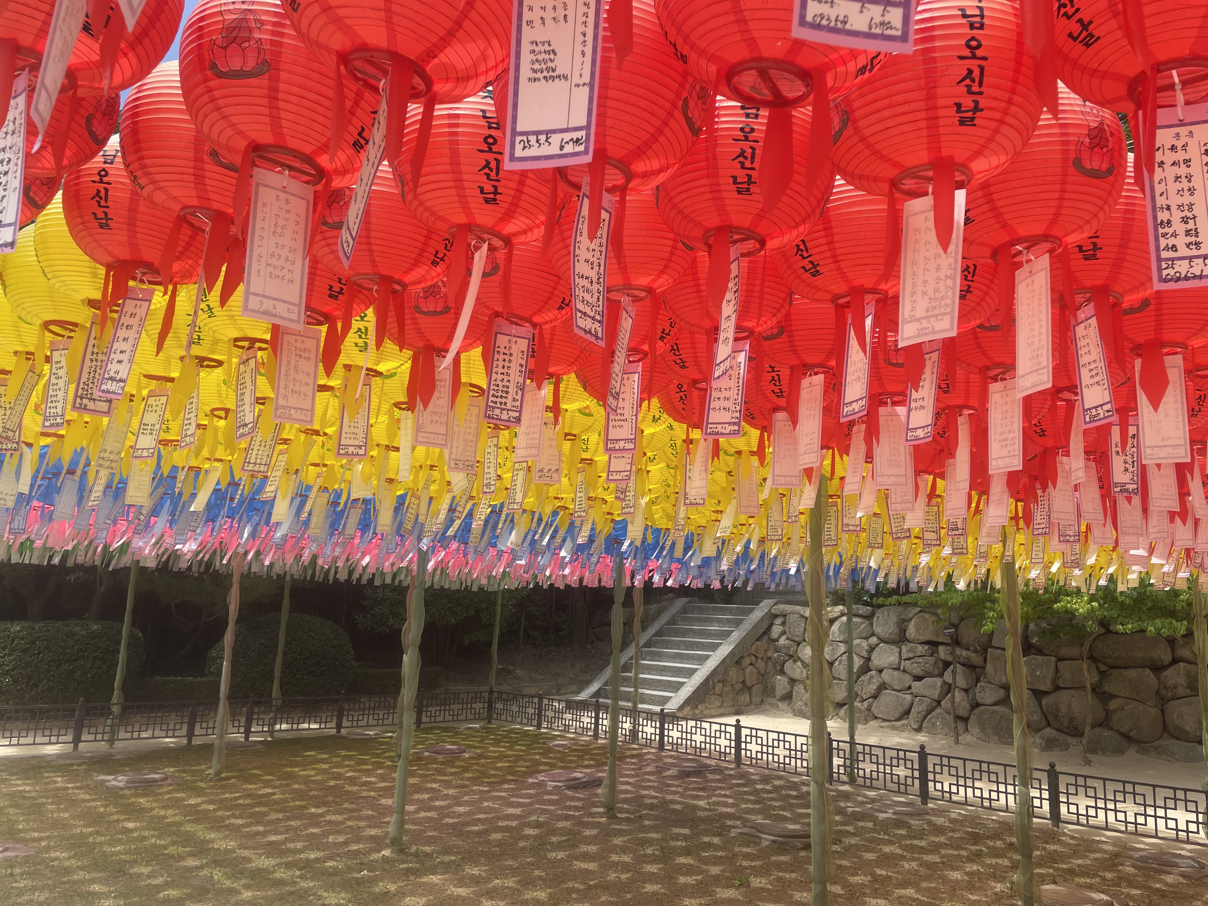 asia-summer-2025