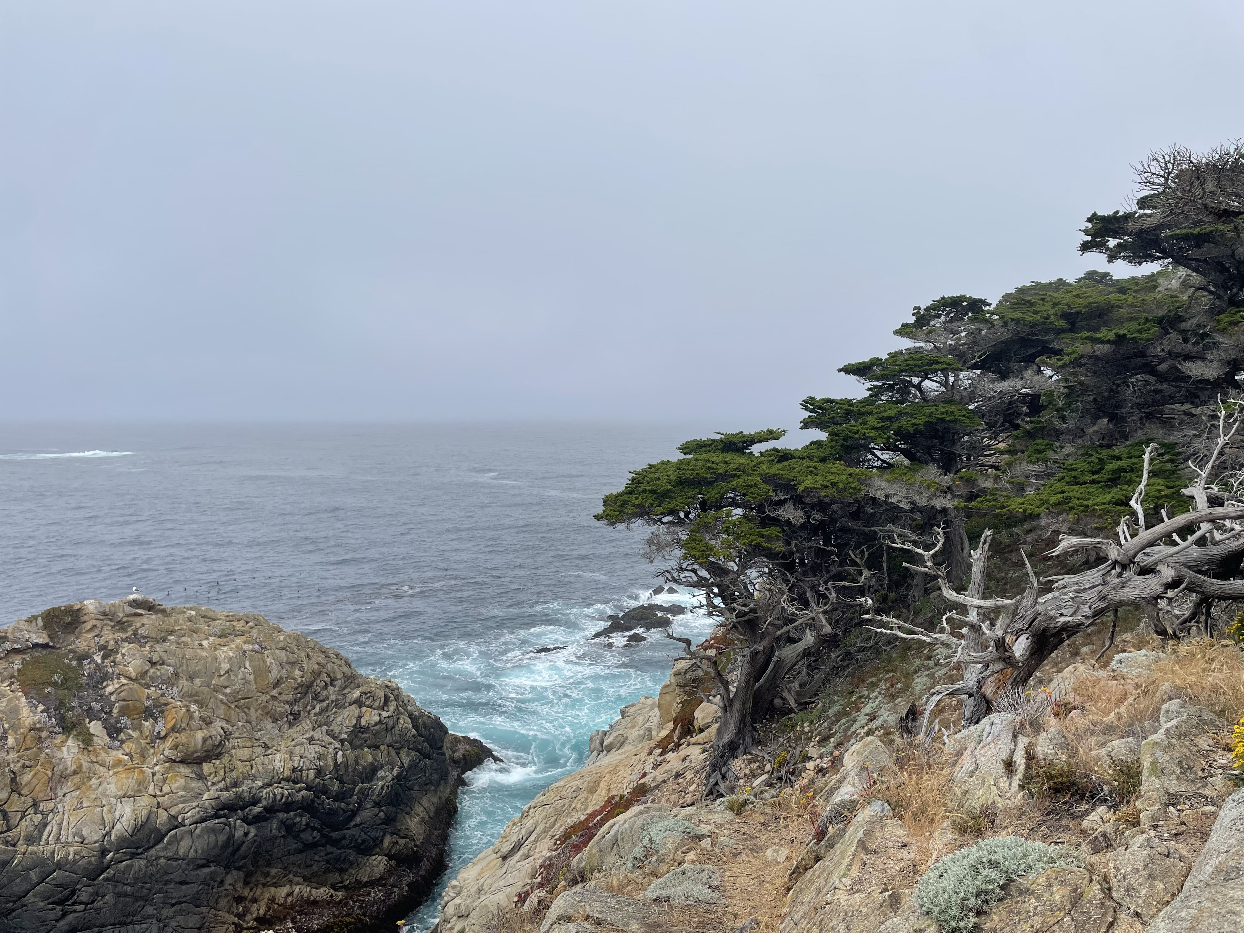 California