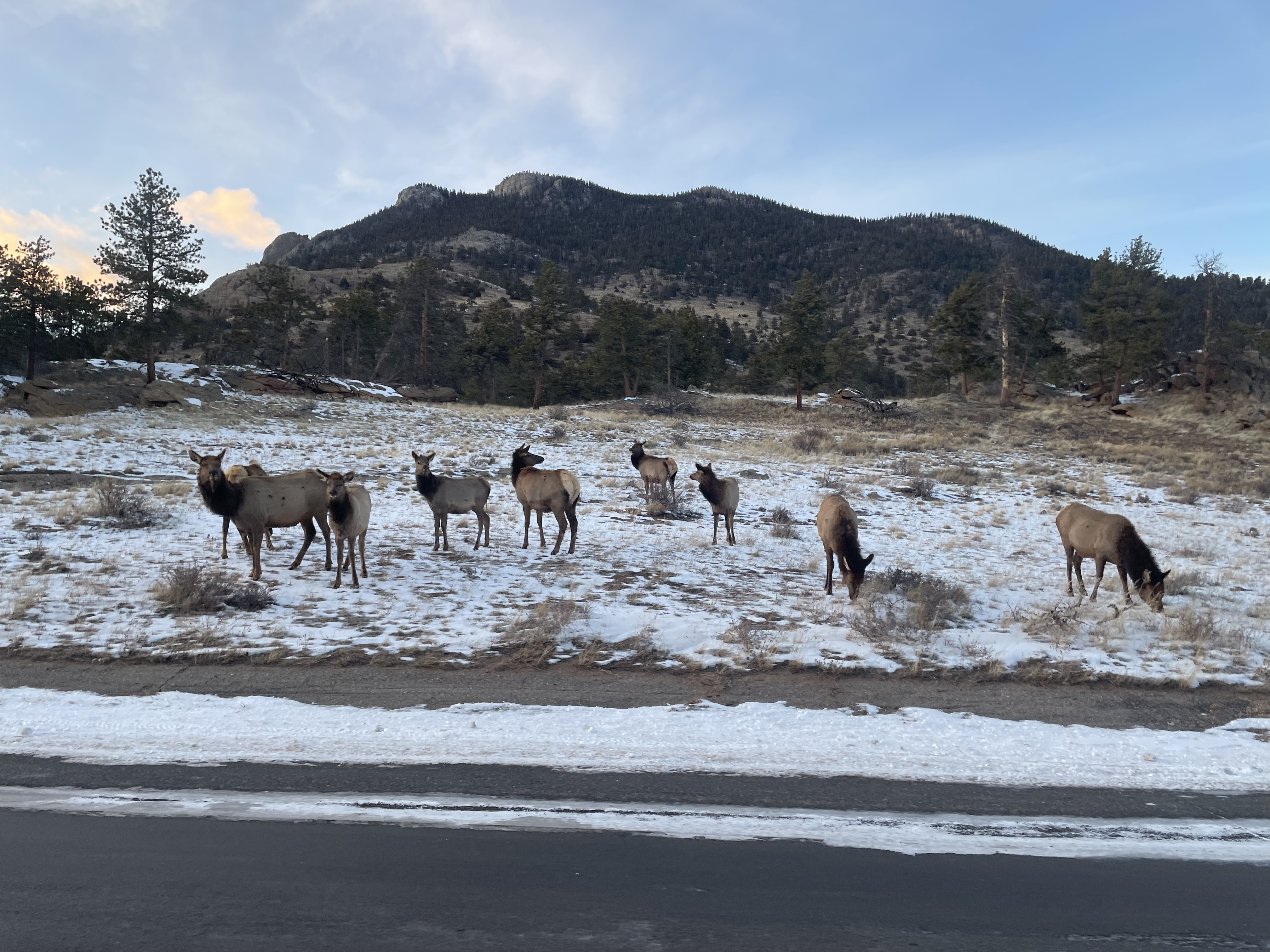 Colorado